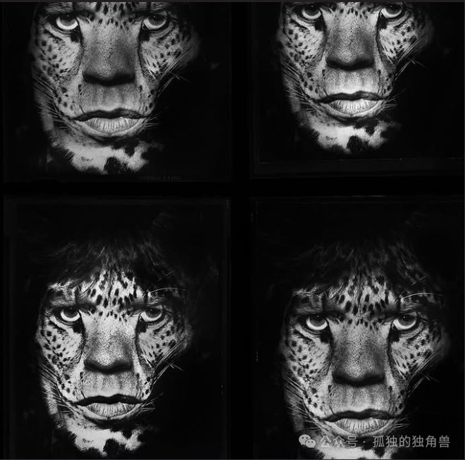 右眼失明只花20分钟就拍下贾伯斯最经典照片：AlbertWatson(图2)
