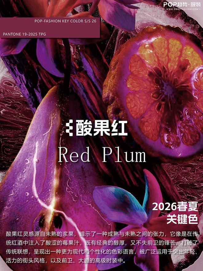 色彩研究乐观颠覆与自我表达(图3)