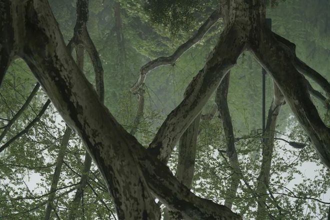 时尚摄影师张悦：家的中心就是那张眺望北京CBD的大长桌！(图7)