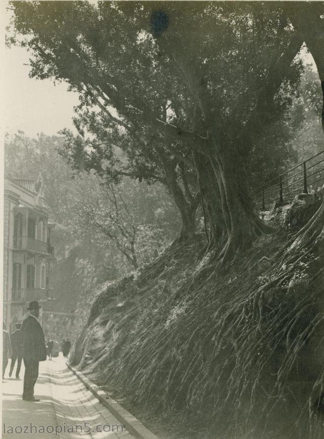 1909年张伯林的中国摄影集（4）香港(图4)
