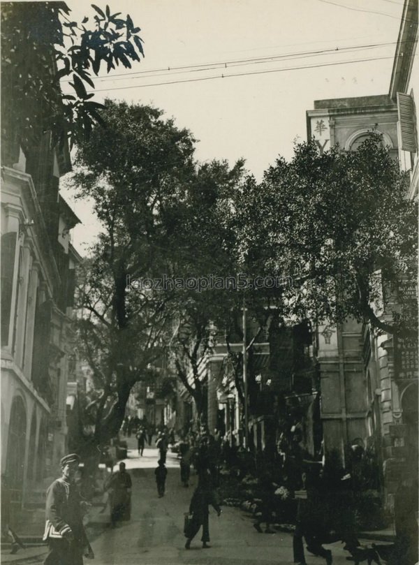 1909年张伯林的中国摄影集（4）香港(图5)