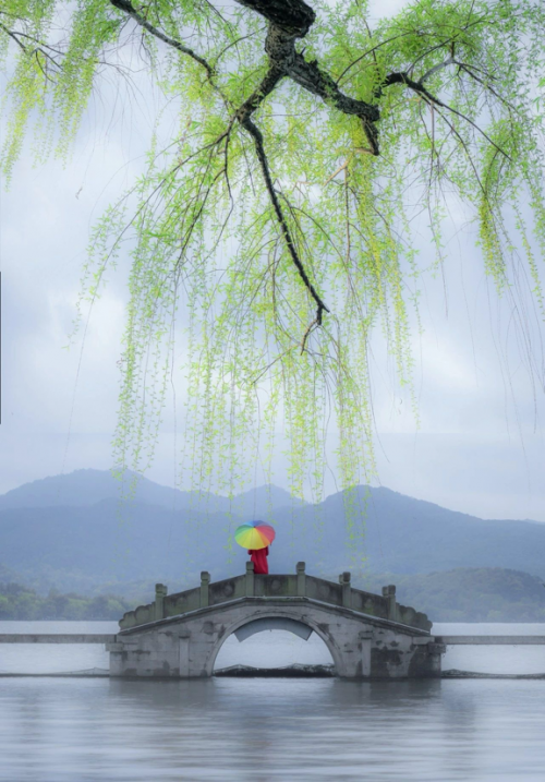 视觉中国：超越·感动——佳能全画幅专微摄影大赛作品赏析(图8)