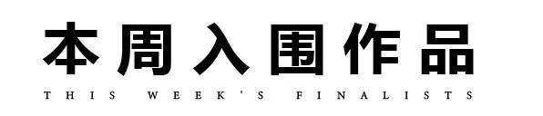 颁奖了！这届摄影冠军果然不是点赞最高那张(图9)