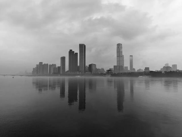 颁奖了！这届摄影冠军果然不是点赞最高那张(图12)