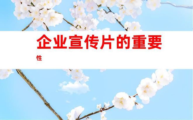 九游体育：商业拍摄制作科技能源企业宣传片、品牌产品tvc广告片推荐(图1)
