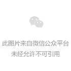 考虑画质均衡的干活镜头可以看看这几支！(图1)