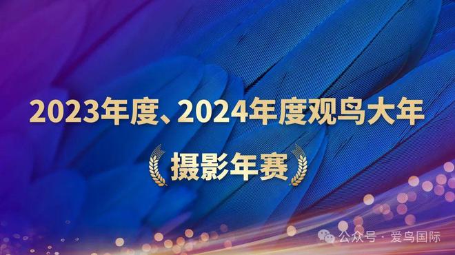 2023、2024观鸟大年观鸟摄影年赛获奖作品欣赏！(图1)