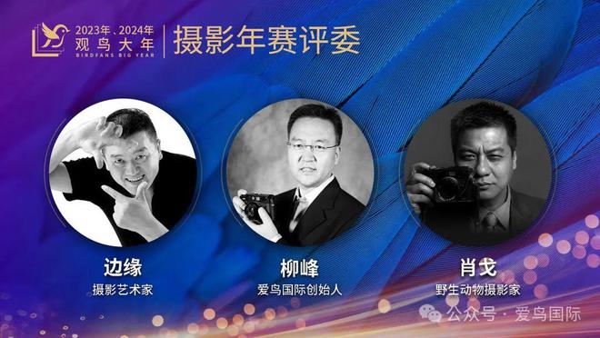2023、2024观鸟大年观鸟摄影年赛获奖作品欣赏！(图2)