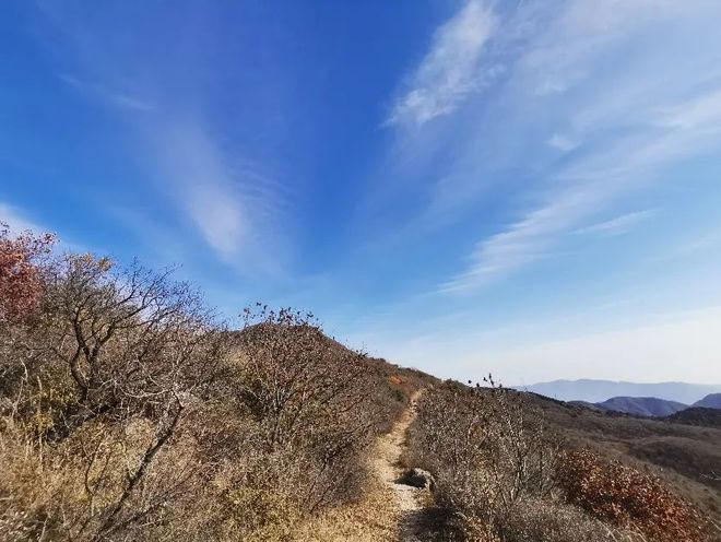 10、11月摄影获奖作品点评(图11)