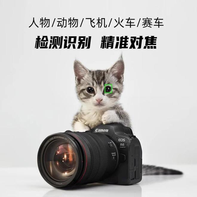 APS-C画幅与全画幅的区别：从原理到应用的深度解析(图4)