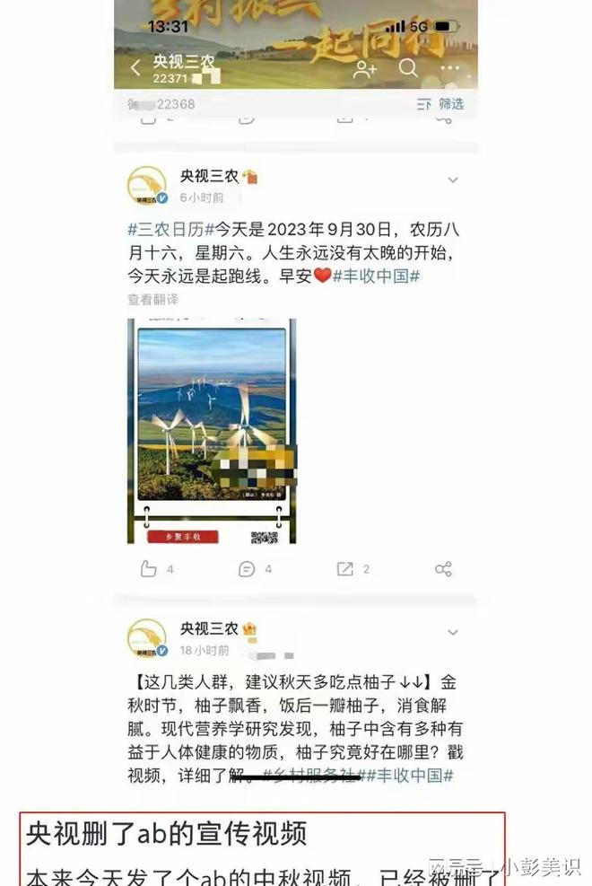 落地凤凰不如鸡！36岁杨颖兜兜转转干回老本行成内娱最大笑话(图3)
