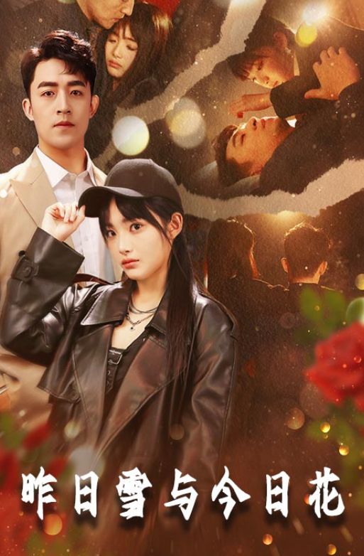 后续《昨日雪与今日花》精彩热播大结局完整版(图1)